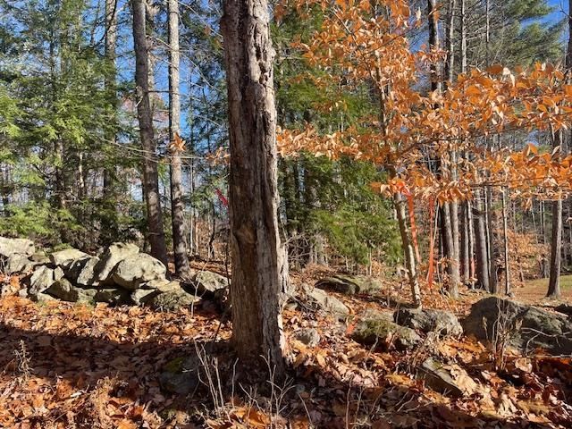 Lot 5B Lyford Road, Brookfield, NH 03872