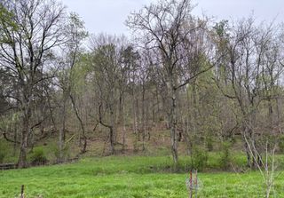 0 Cathcart Rd, Frankewing, TN 38459