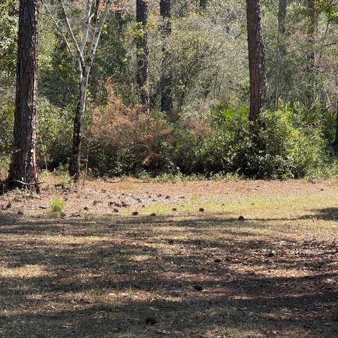 Lots 9-10 Mallet Road, Freeport, FL 32439