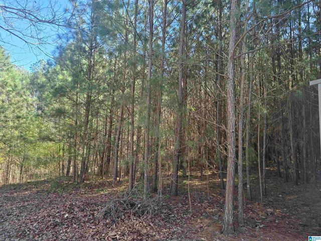 87 COUNTY ROAD 467, Fruithurst, AL 36262