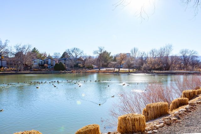 3150 Lakeside Dr Apt 206, Grand Junction, CO 81506