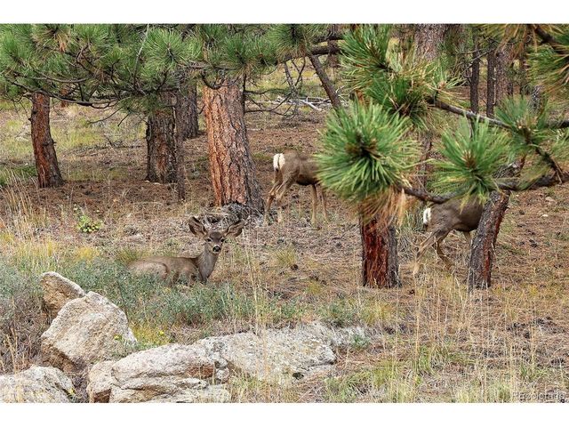 32187 Sylvan Rd, Golden, CO 80403