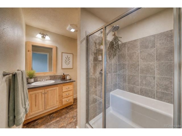 203 Chestnut St, Leadville, CO 80461