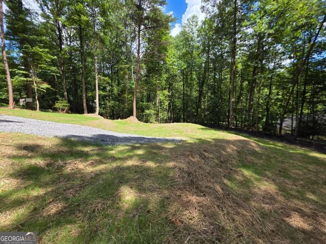 LOT 195 Shenendoa Drive 195, Ellijay, GA 30540