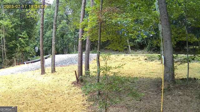 LOT 195 Shenendoa Drive 195, Ellijay, GA 30540