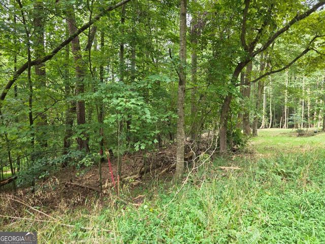 LOT 195 Shenendoa Drive 195, Ellijay, GA 30540