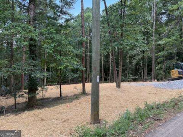 LOT 195 Shenendoa Drive 195, Ellijay, GA 30540