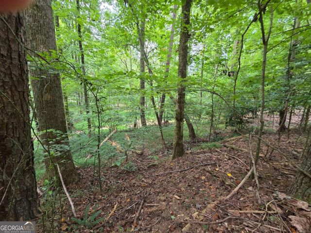 LOT 195 Shenendoa Drive 195, Ellijay, GA 30540