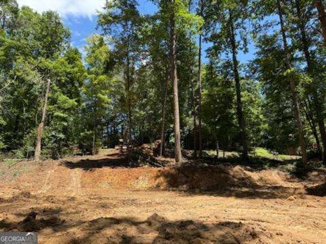 LOT 195 Shenendoa Drive 195, Ellijay, GA 30540