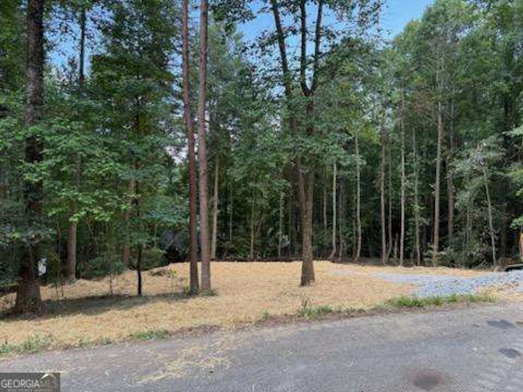 LOT 195 Shenendoa Drive 195, Ellijay, GA 30540