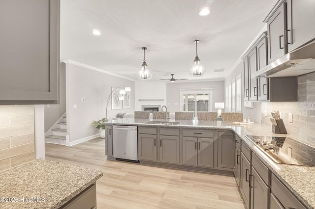 508 E Great Egret Way, Beaufort, NC 28516