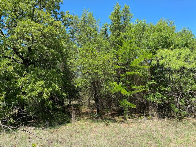 TBD Miller Creek Lake Road, Paradise, TX 76073