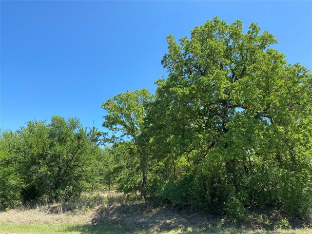 TBD Miller Creek Lake Road, Paradise, TX 76073