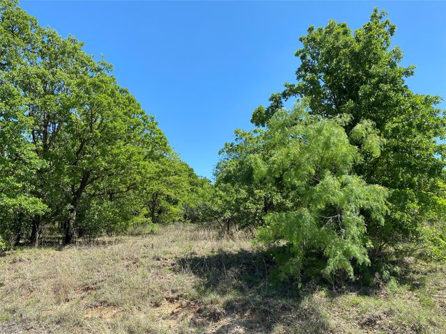TBD Miller Creek Lake Road, Paradise, TX 76073