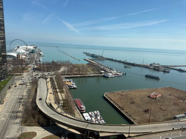 474 N Lake Shore Drive 2206, Chicago, IL 60611