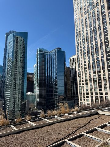 474 N Lake Shore Drive 2206, Chicago, IL 60611