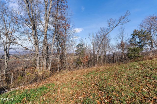 Tbd Birds Eye View Lot 1, Jonesborough, TN 37659