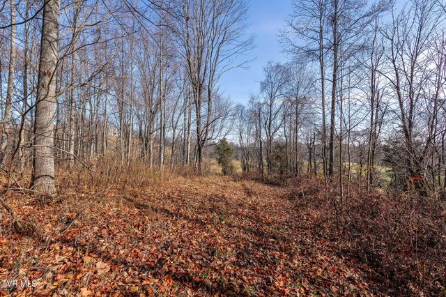 Tbd Birds Eye View Lot 1, Jonesborough, TN 37659
