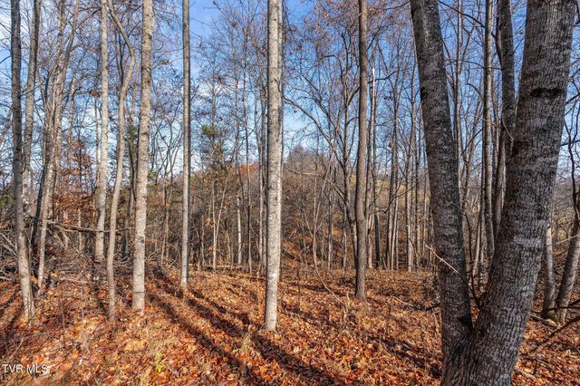 Tbd Birds Eye View Lot 1, Jonesborough, TN 37659