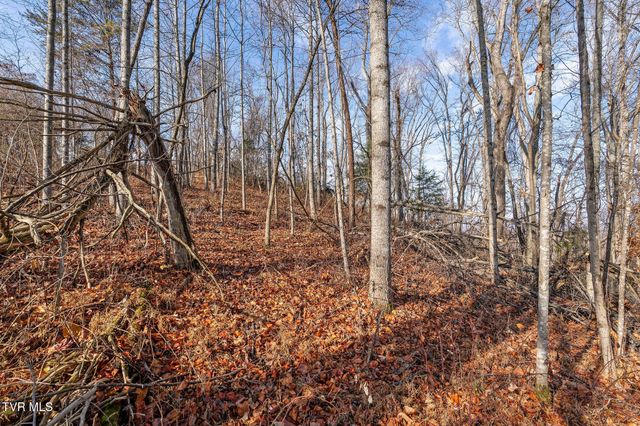 Tbd Birds Eye View Lot 1, Jonesborough, TN 37659