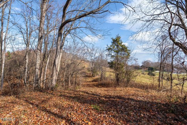 Tbd Birds Eye View Lot 1, Jonesborough, TN 37659