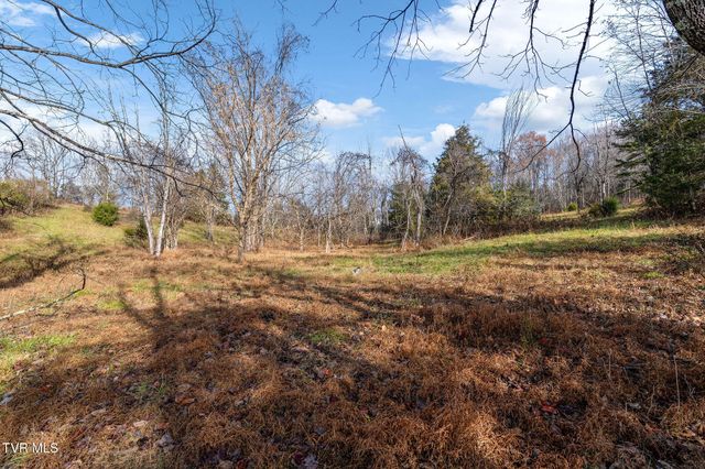 Tbd Birds Eye View Lot 1, Jonesborough, TN 37659
