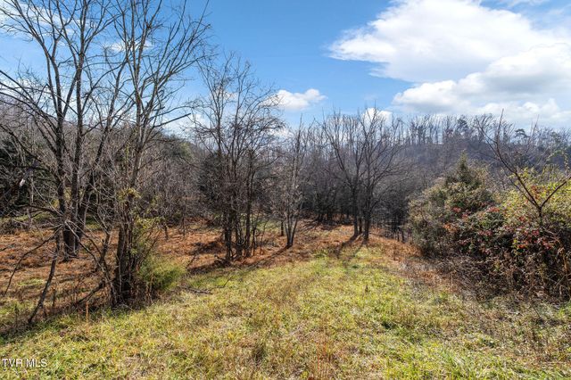Tbd Birds Eye View Lot 1, Jonesborough, TN 37659