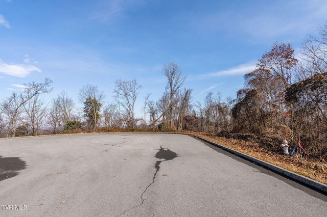 Tbd Birds Eye View Lot 1, Jonesborough, TN 37659