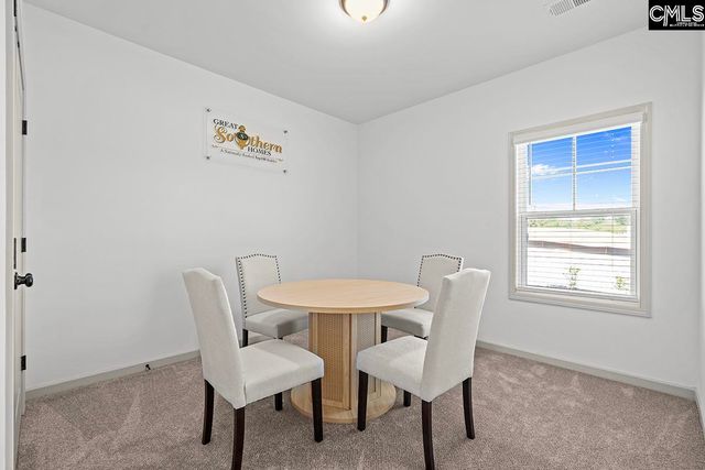 203 Ruby Prince Way, Lexington, SC 29073