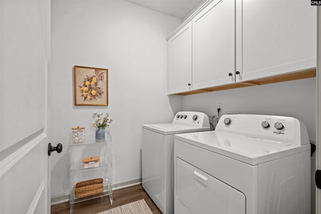 203 Ruby Prince Way, Lexington, SC 29073