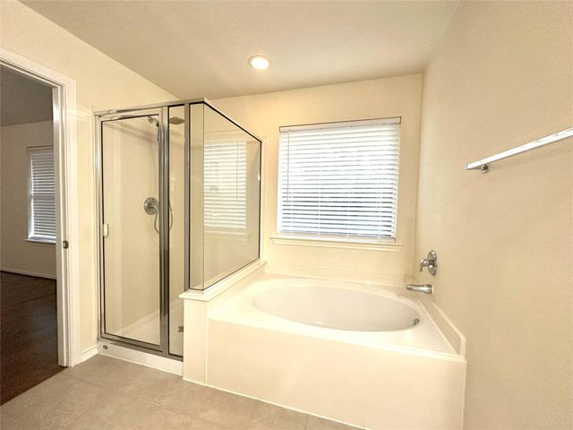 254 Liriope Court, The Woodlands, TX 77384