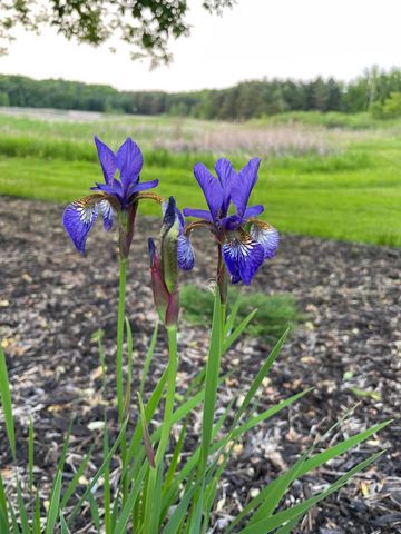 24525 112th Street NW, Zimmerman, MN 55398