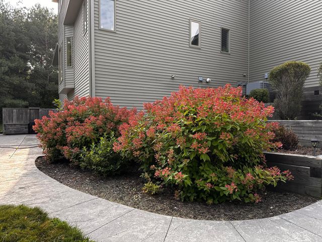 24525 112th Street NW, Zimmerman, MN 55398