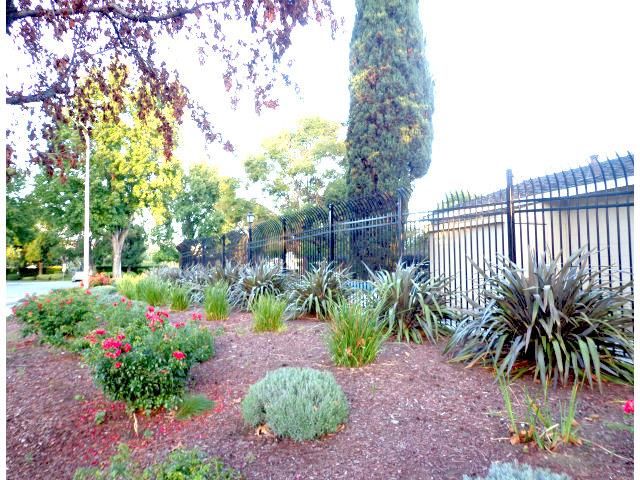 352 San Petra Court 1, Milpitas, CA 95035