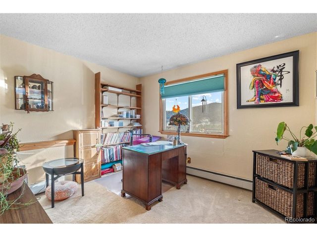 24170 Matterhorn Dr, Indian Hills, CO 80454