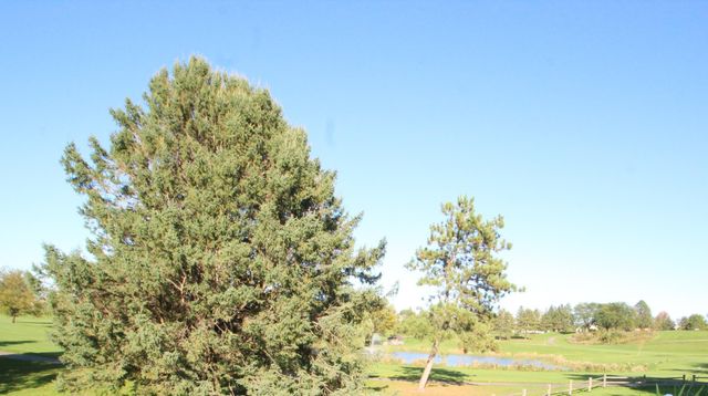 1301 Mckusick Road Lane N, Stillwater, MN 55082