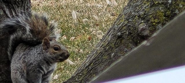 1301 Mckusick Road Lane N, Stillwater, MN 55082