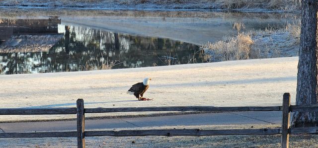 1301 Mckusick Road Lane N, Stillwater, MN 55082