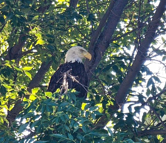 1301 Mckusick Road Lane N, Stillwater, MN 55082