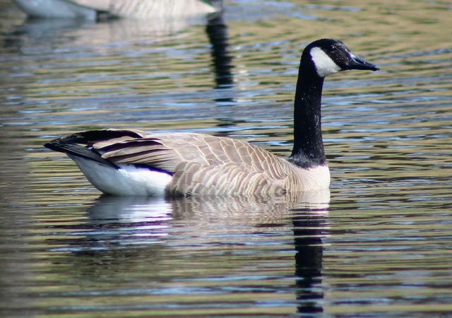 1301 Mckusick Road Lane N, Stillwater, MN 55082