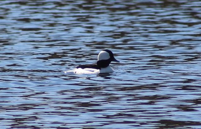 1301 Mckusick Road Lane N, Stillwater, MN 55082