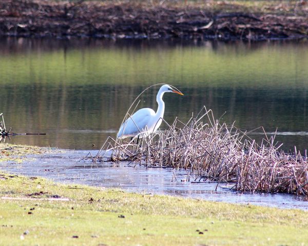 1301 Mckusick Road Lane N, Stillwater, MN 55082