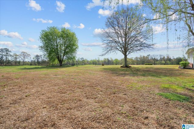 1396 COUNTY ROAD 134, Woodland, AL 36280
