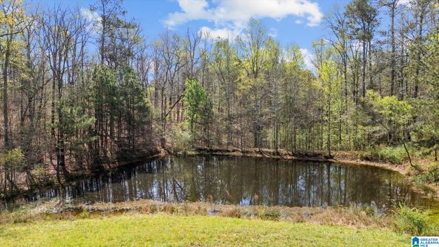 1396 COUNTY ROAD 134, Woodland, AL 36280