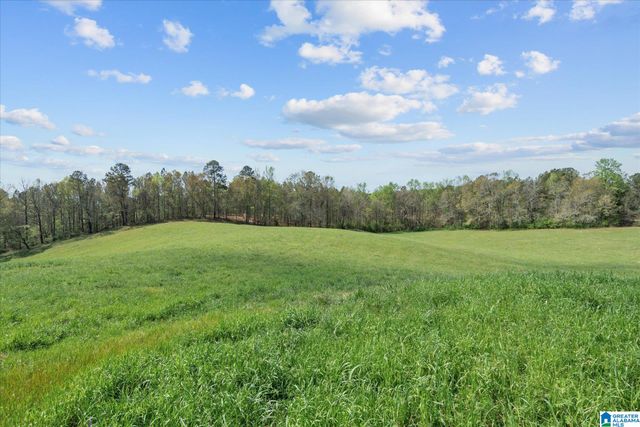 1396 COUNTY ROAD 134, Woodland, AL 36280