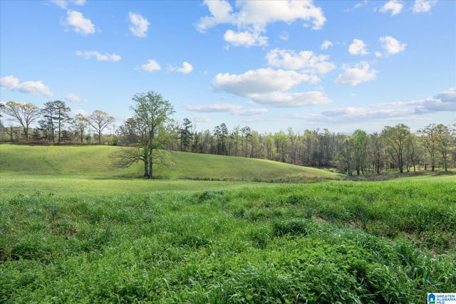1396 COUNTY ROAD 134, Woodland, AL 36280