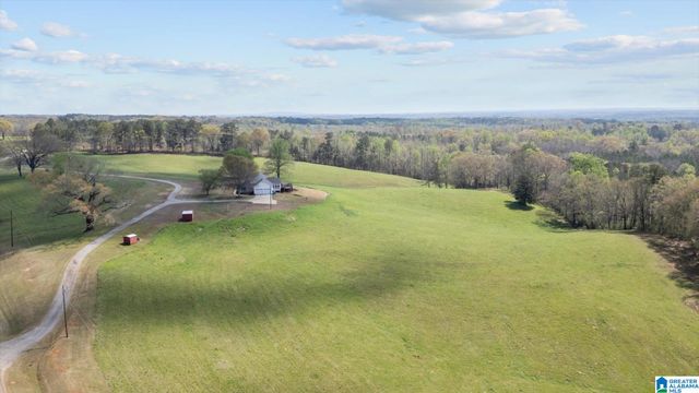 1396 COUNTY ROAD 134, Woodland, AL 36280
