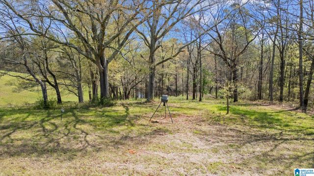 1396 COUNTY ROAD 134, Woodland, AL 36280