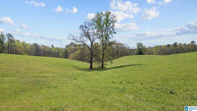 1396 COUNTY ROAD 134, Woodland, AL 36280
