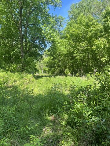 0 Hawkins Rd, Westmoreland, TN 37186